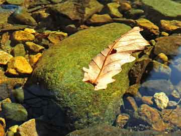 漳浦打胎和药流最合适(打胎和药流哪个好)